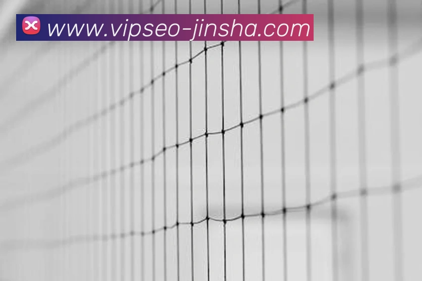 金沙娱乐APP 封面图